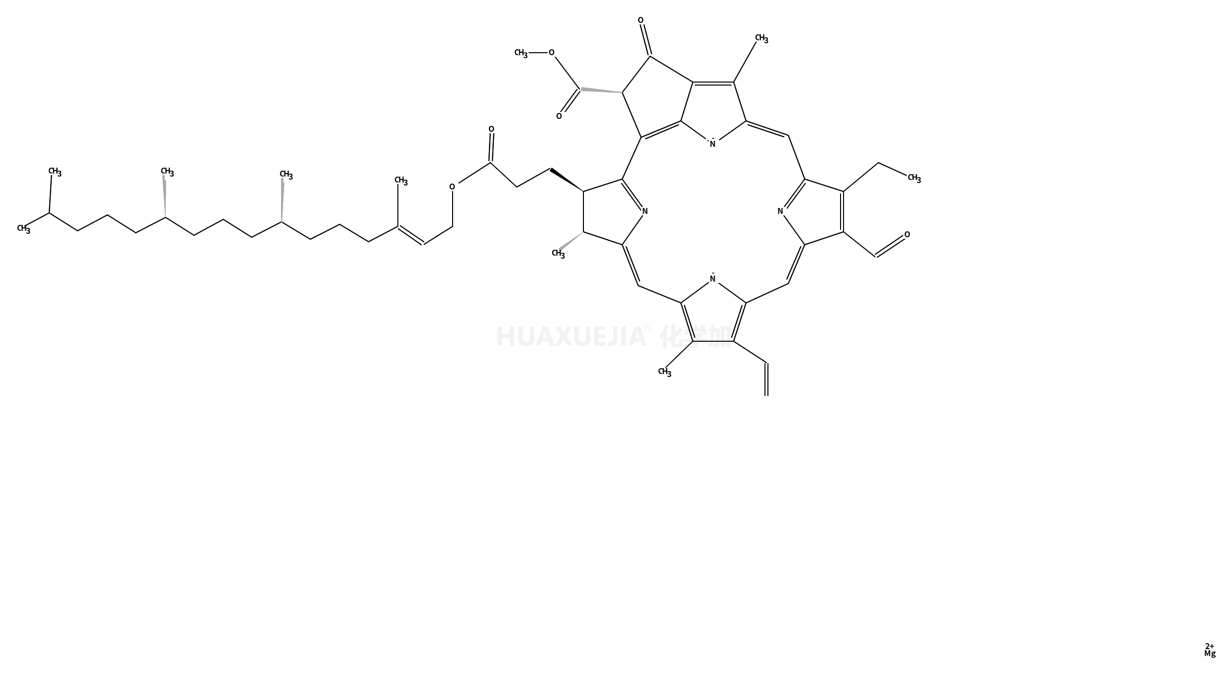 叶绿素b