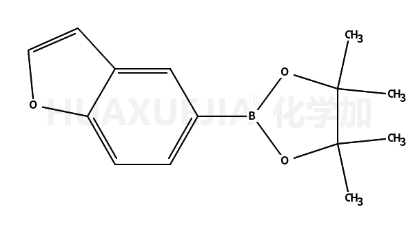 5-(4,4,5,5-四甲基-1,3,2-二氧硼烷-2-基)-1-苯并呋喃