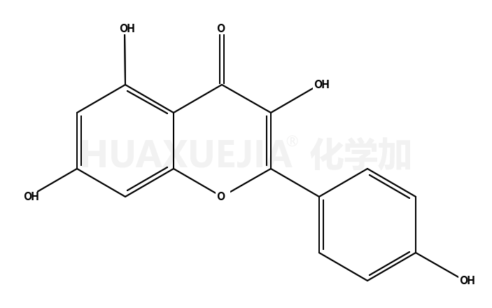 520-18-3结构式