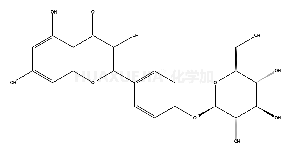山奈酚-4’’-葡萄糖苷