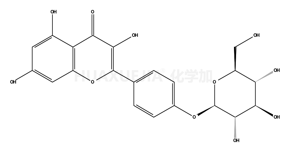 山奈酚-4’-葡萄糖苷