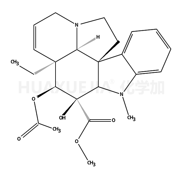 温都罗新