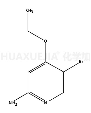 2-氨基-5-溴-4-乙氧基吡啶