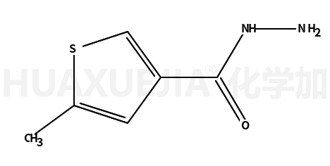 5-甲基噻吩-3-碳酰肼