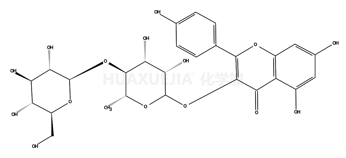 蔷薇苷B