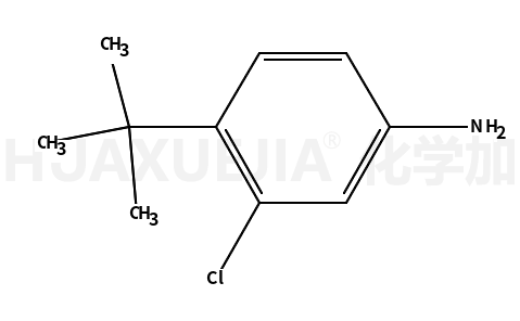 4-tert-butyl-3-chloroaniline