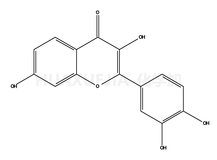 3,3',4',7-四羟基黄酮