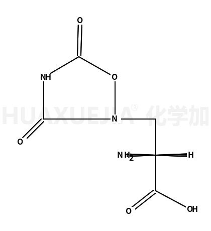 ()-Quisqualic Acid