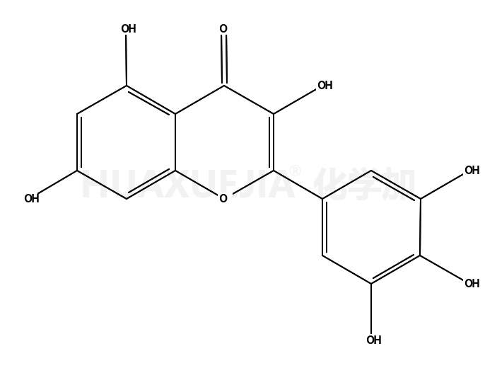 myricetin