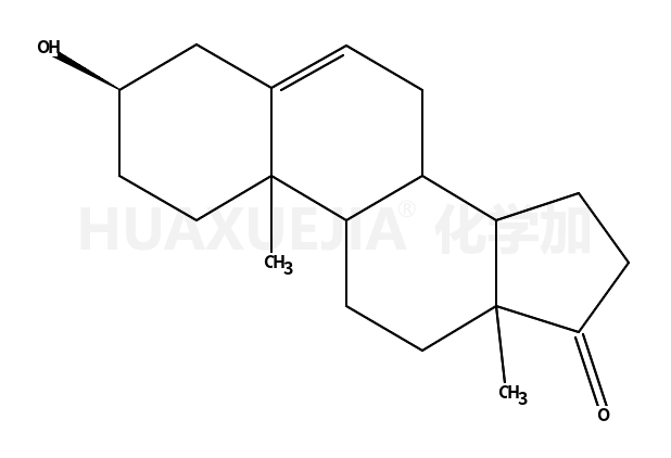 去氢表雄酮；脱氢表雄甾酮；DHEA