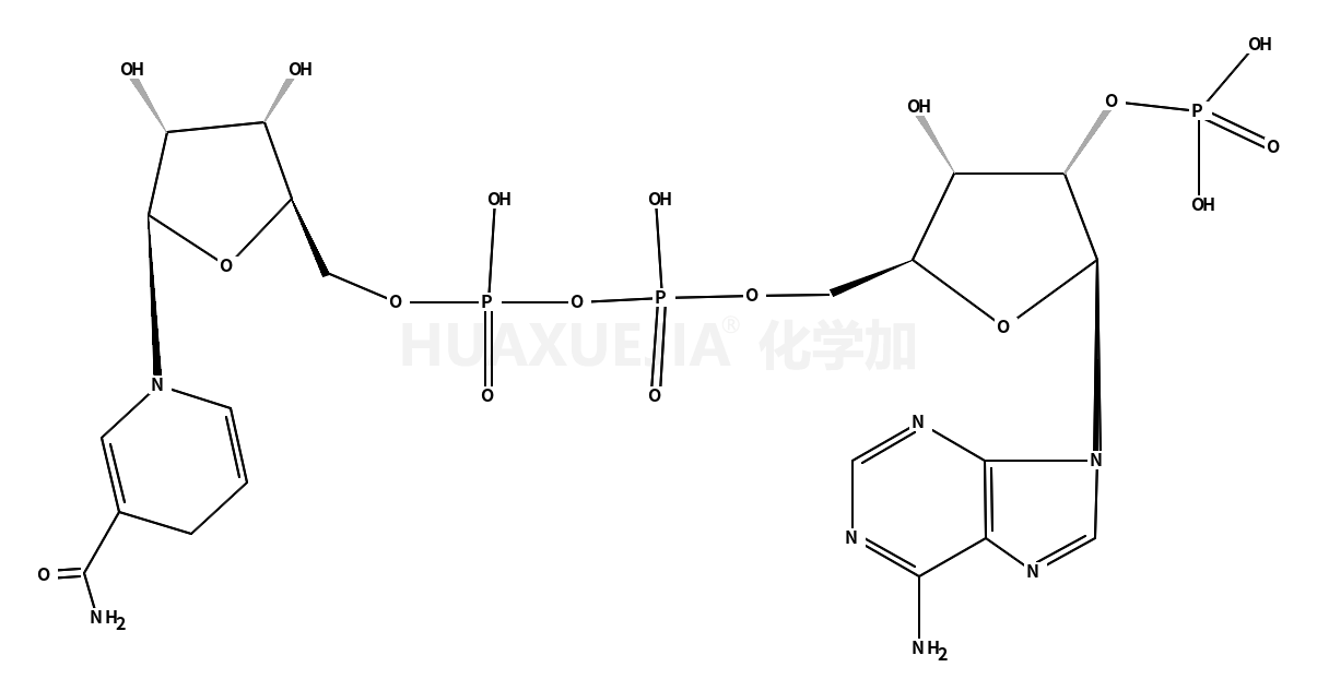 还原型辅酶II(NADPH)四钠盐