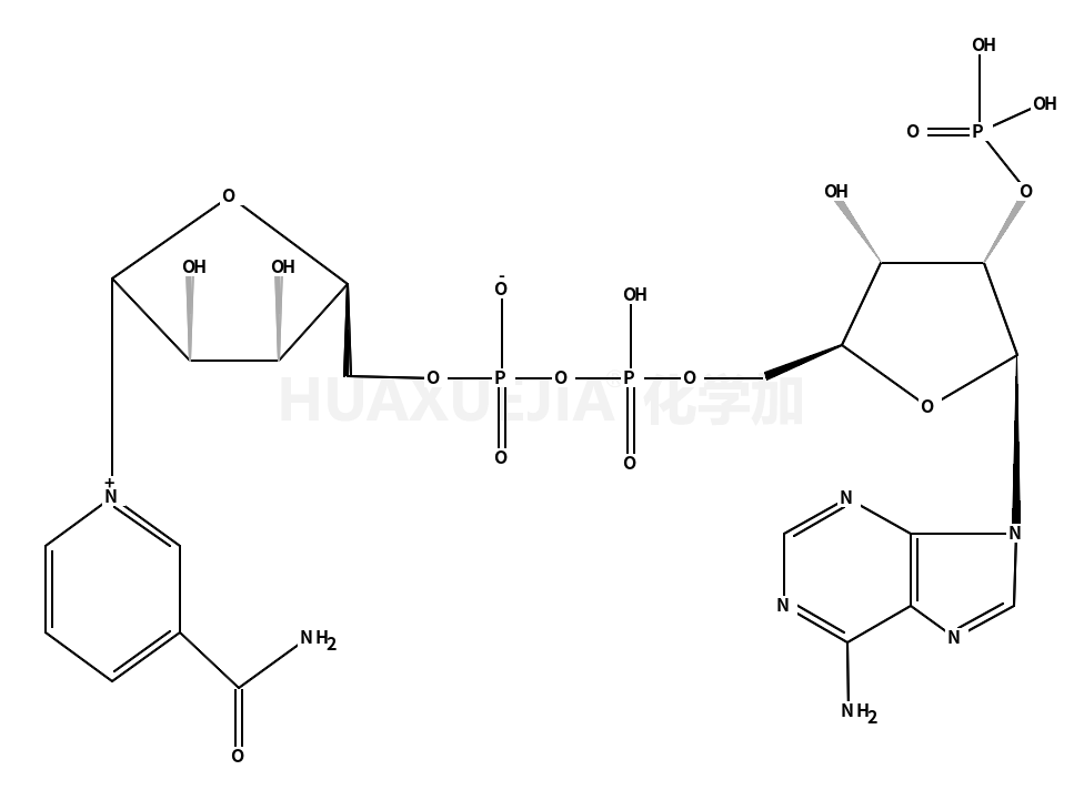 β-烟酰胺腺嘌呤二核苷酸磷酸
