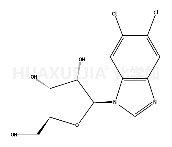 5,6-二氯-1-β-D-呋喃核糖基苯并咪唑