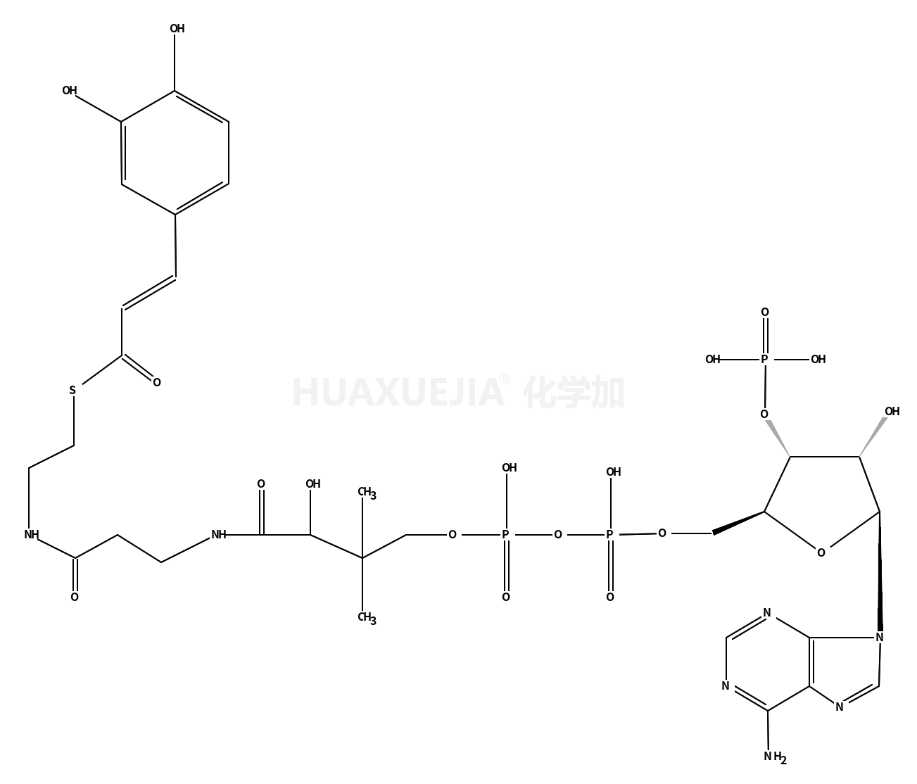 S-{17-[(2R,3S,4R,5R)-5-(6-氨基-9H-嘌呤-9-基)-4-羟基-3-(磷羧基氧代)四氢呋喃-2-基]-9,13,15-三羟基-10,10-二甲基-13,15-二羟基-4,8-二羰基-12,14,16-三氧杂-3,7-二氮杂-13,15-二磷杂十七碳-1-基} (2E)-3-(3,4-二羟基苯基)丙-2-烯硫酸酯