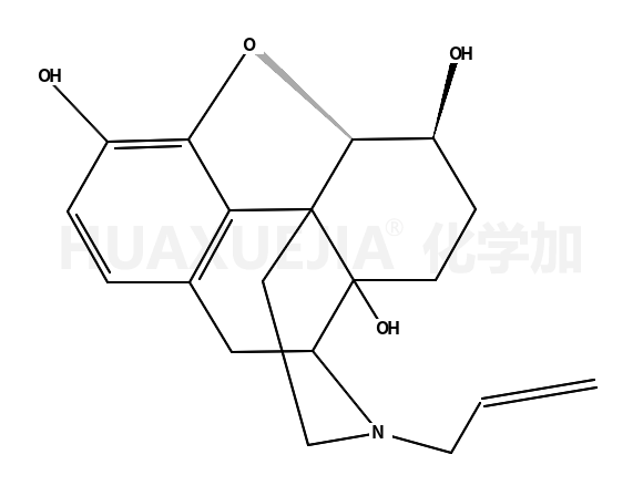 53154-12-4结构式