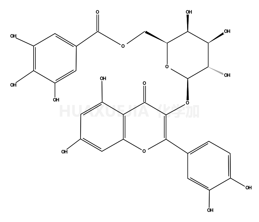 槲皮素3-O-(6''-没食子酰基)-β-D-半乳糖苷