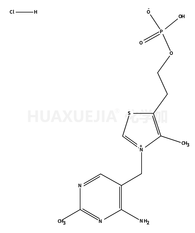 盐酸硫胺素一磷酸盐氯化物