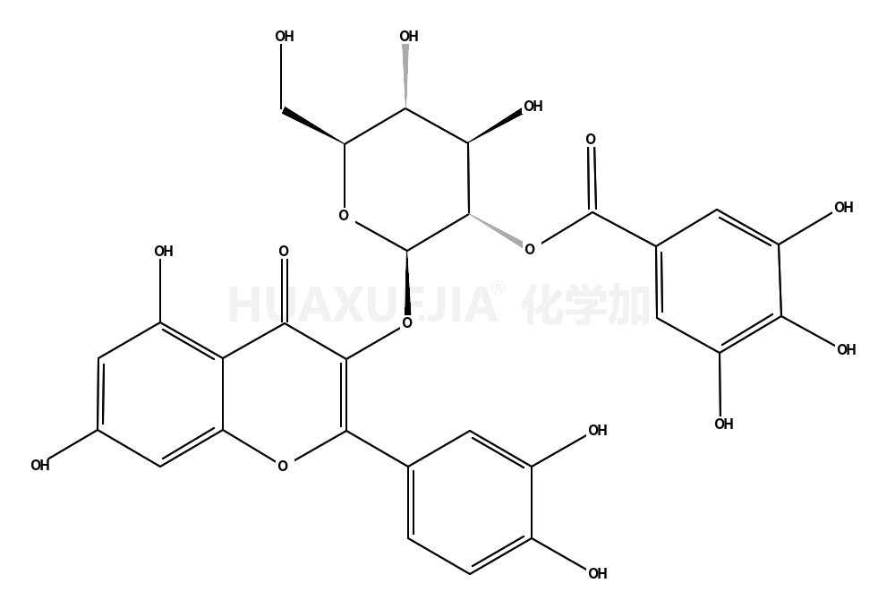 2''-O-没食子酰基金丝桃苷