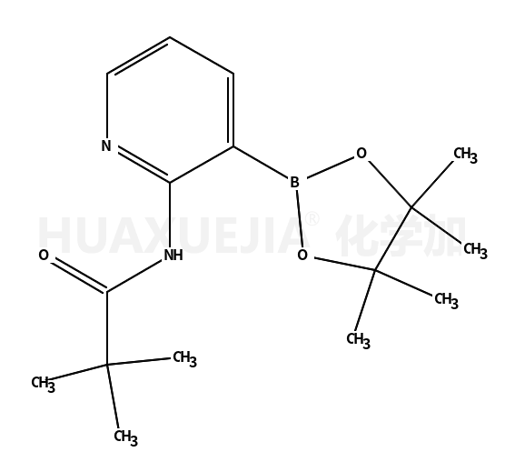 N-[3-(4,4,5,5-四甲基-1,3,2-二杂氧戊硼烷-2-基)吡啶-2-基]新戊酰胺