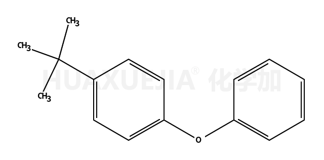 1-叔丁基-4-苯氧基苯