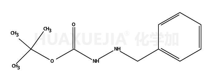 2-(苯基甲基)-肼羧酸 1,1-二甲基乙酯