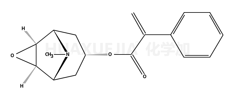 东茛菪碱