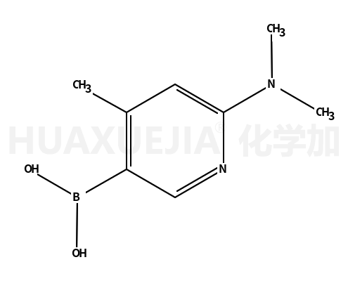 [6-(二甲氨基)-4-甲基-3-吡啶基]-硼酸