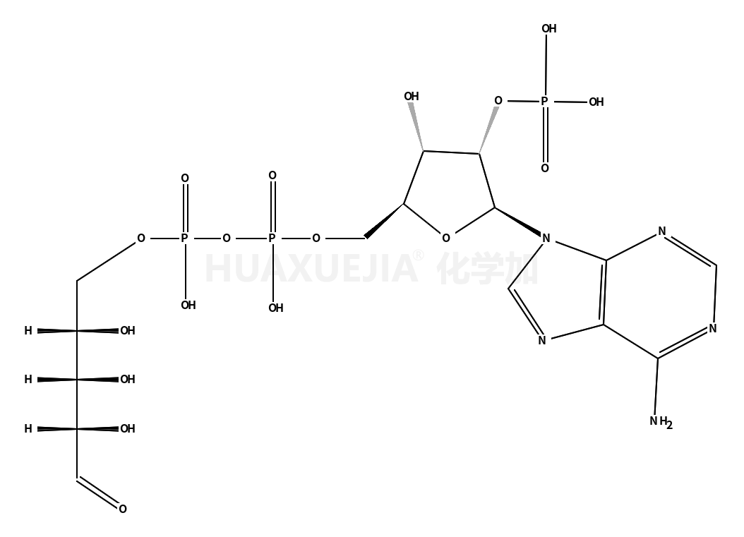 磷酰腺苷二磷酰核糖