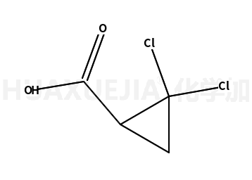 2,2-二氯环丙烷羧酸