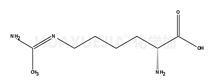 N-(5-氨基-5-羧基戊)-乙脒