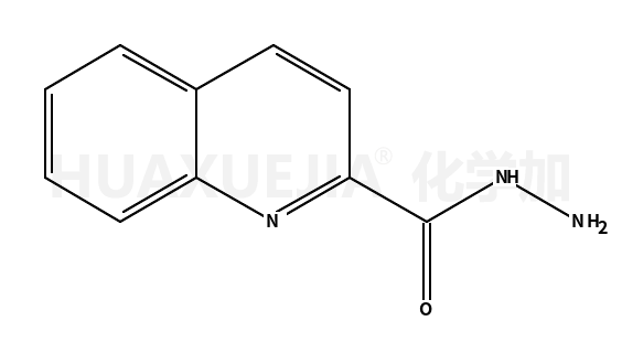 2-喹啉甲酸,肼