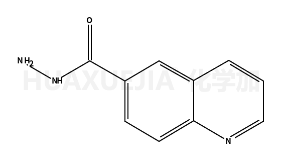 6-喹啉甲酸肼