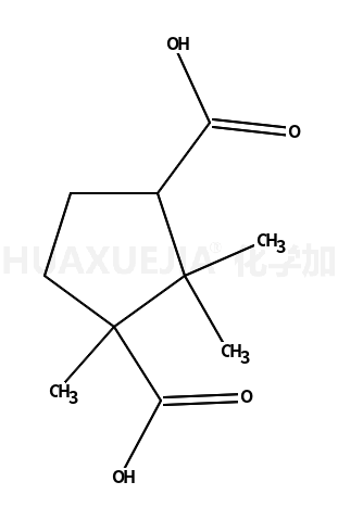 DL-樟脑酸