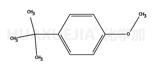 4-叔丁基茴香醚