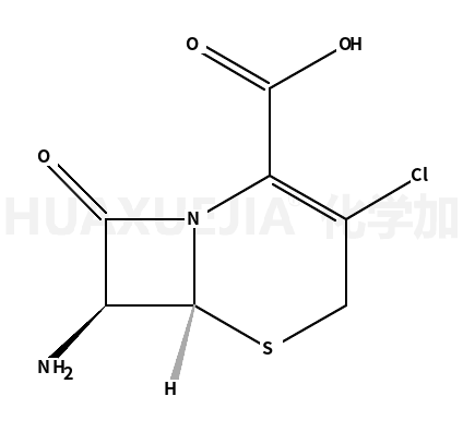 7-氨基-3-氯-3-头孢环-4-羧酸