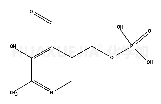 磷酸吡哆醛