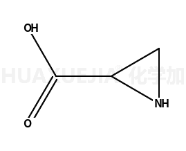 2-氮丙啶羧酸