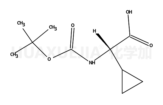 N-叔丁氧羰基-环丙基甘氨酸