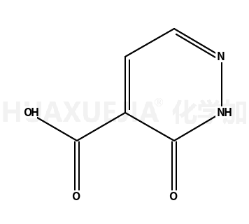 3-氧代-2,3-二氢哒嗪-4-甲酸