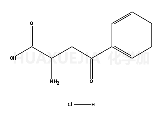 Alpha-氨基-gamma-氧代-苯丁酸盐酸盐