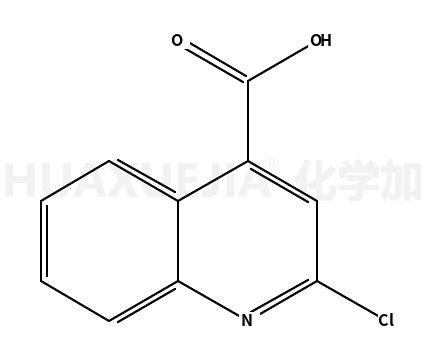 2-氯喹林-4-羧酸