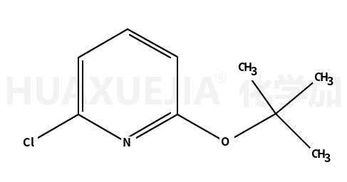 2-叔丁氧基-6-氯吡啶