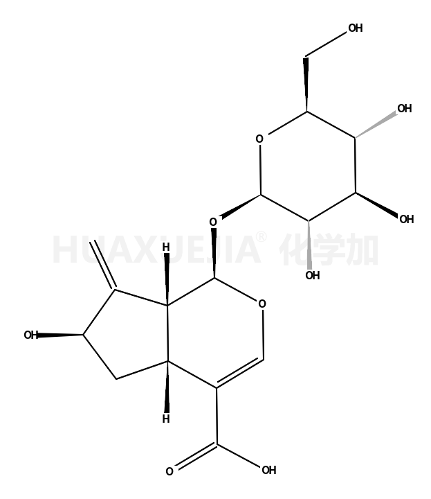 栀子新苷