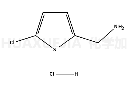 (5-氯噻吩-2-基)甲胺盐酸盐