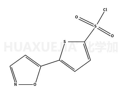 5-(5-异噁唑)噻吩-2-磺酰氯