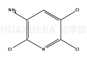 2,5,6-三氯吡啶-3-胺