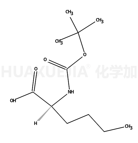 叔丁氧羰酰基D-正亮氨酸