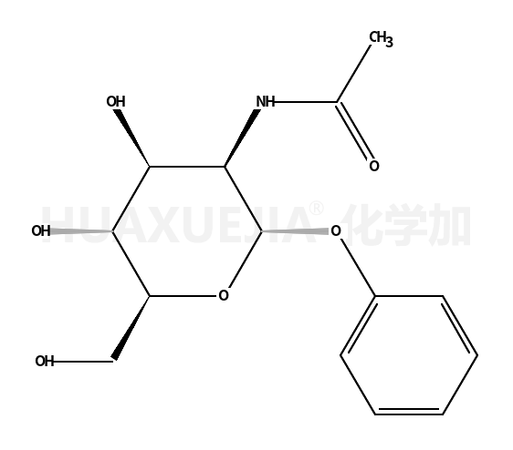 苯基-2-乙酰氨基-2-脱氧-Β-D-葡萄糖苷