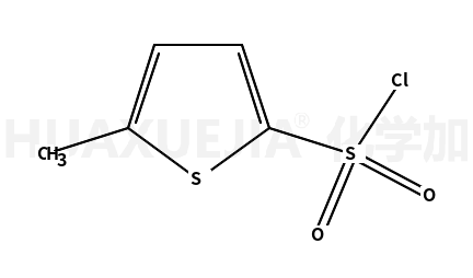 5-甲基噻吩-2-磺酰氯