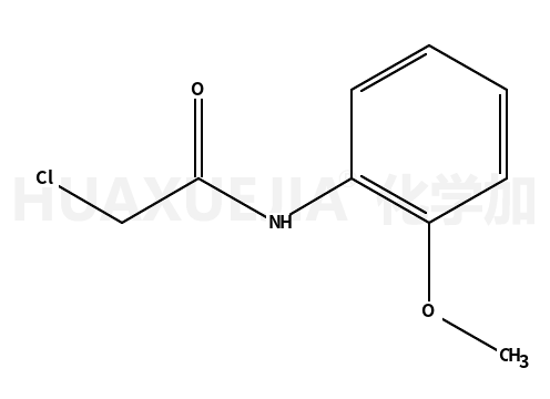 2-氯-N-(2-甲氧苯基)乙酰胺